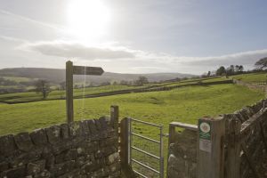 _gorgeous nidderdale local 6.jpg